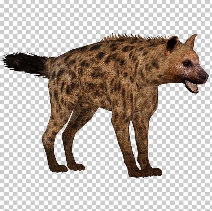 Spotted Hyena Icon PNG, Clipart, African Wild Dog, Animal, Animals, Carnivora, Carnivoran Free PNG Download