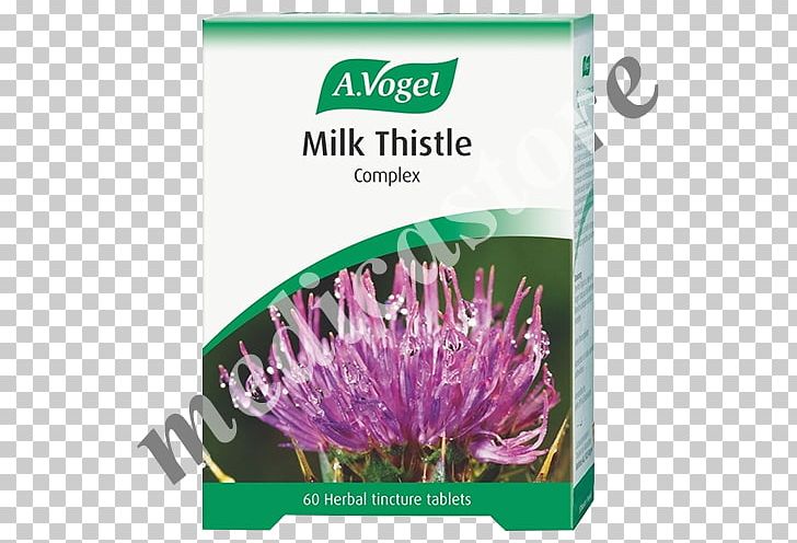 Dietary Supplement Milk Thistle Tablet Tincture PNG, Clipart, Alfred Vogel, Artichoke, Coneflower, Dietary Supplement, Drink Free PNG Download
