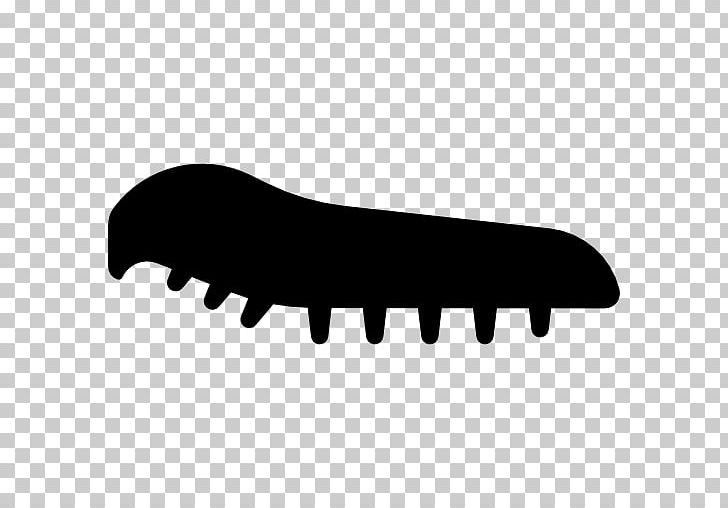 Silkworm Insect Animal PNG, Clipart, Animal, Animals, Black, Black And White, Computer Icons Free PNG Download