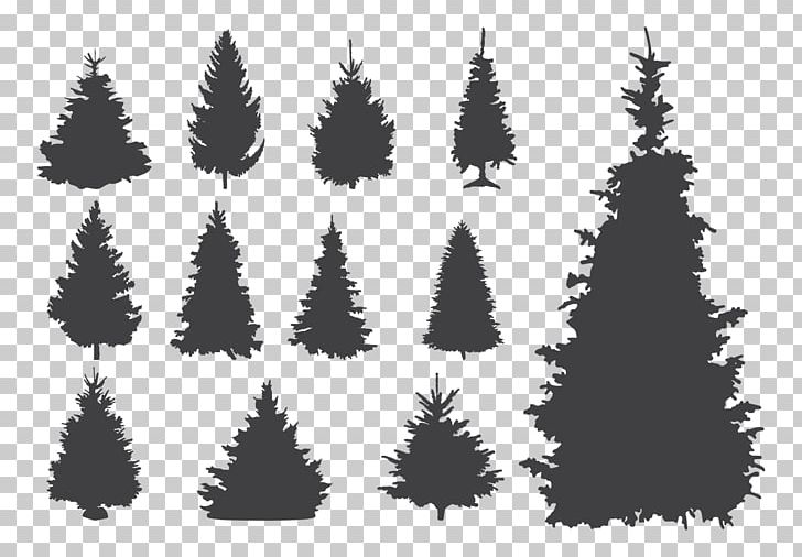 Spruce Pine Christmas Tree PNG, Clipart, Balsam Fir, Black And White, Christmas Decoration, Christmas Tree, Computer Icons Free PNG Download