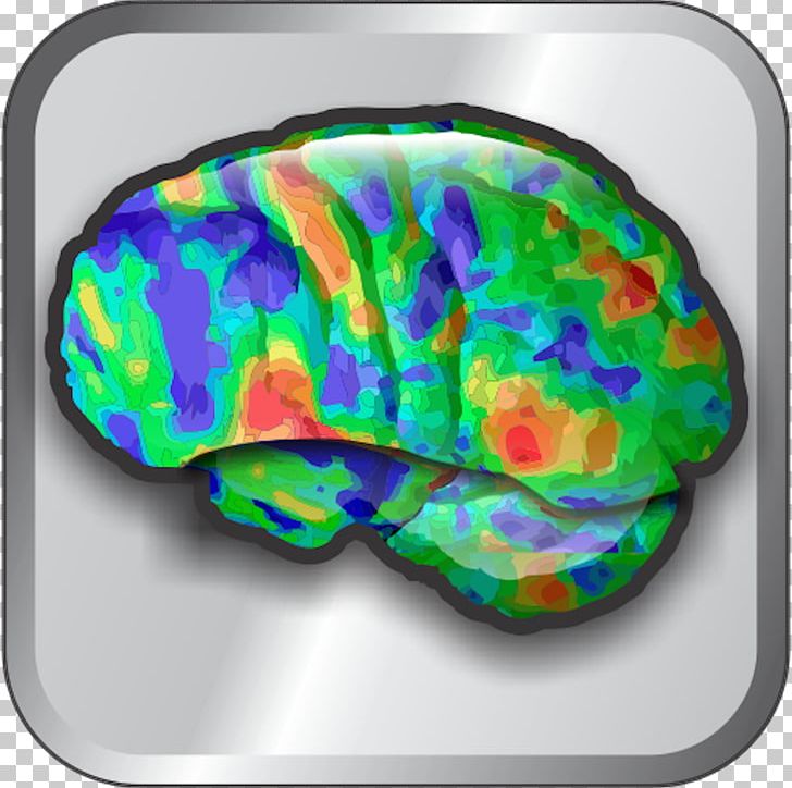Windows Phone Screenshot Brain Medicine PNG, Clipart, Android, Apk, App, Brain, Medical Free PNG Download