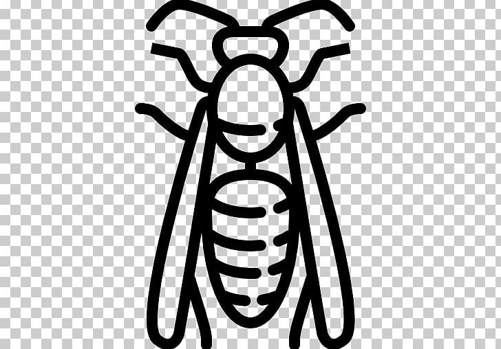 Insect Pest Control Wasp Animal PNG, Clipart, Acari, Animal, Animals, Ant, Arachnid Free PNG Download