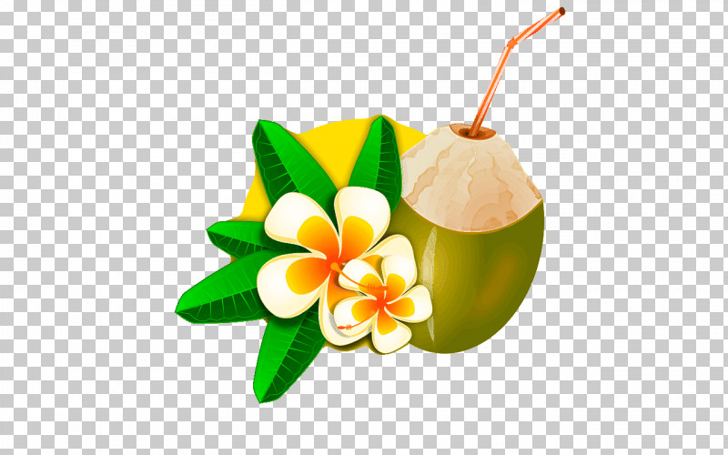 Coconut PNG, Clipart, Absorption, Chemistry, Coconut, Coconut Water, Developmental Psychology Free PNG Download