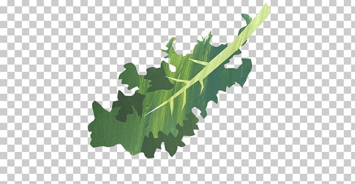 Caesar Salad Lacinato Kale Unicorn Grocery Recipe Leaf Vegetable PNG, Clipart, Caesar Salad, Cooking, Crouton, Dish, Farro Free PNG Download