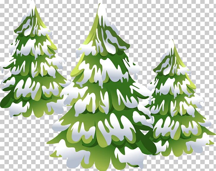 Christmas Tree Spruce Pine Christmas Ornament PNG, Clipart, Branch, Christmas, Christmas Decoration, Christmas Ornament, Christmas Tree Free PNG Download