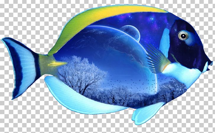 El Grullo Marine Biology Coral Reef Fish Marine Mammal Poster PNG, Clipart, Albino, Animals, Beak, Blue, Catlover Free PNG Download