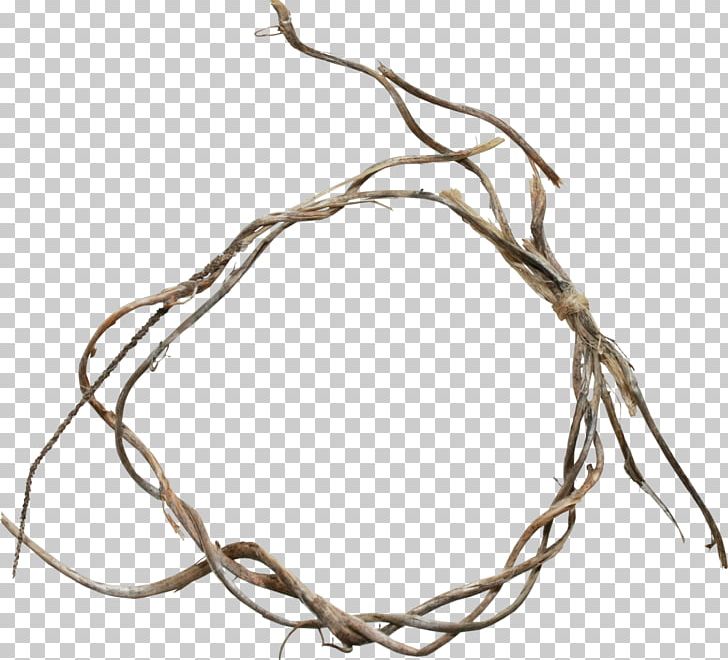 Twig Branch Scrapbooking Albom PNG, Clipart, Albom, Ankle Brace, Branch, Branches, Branches Ring Free PNG Download