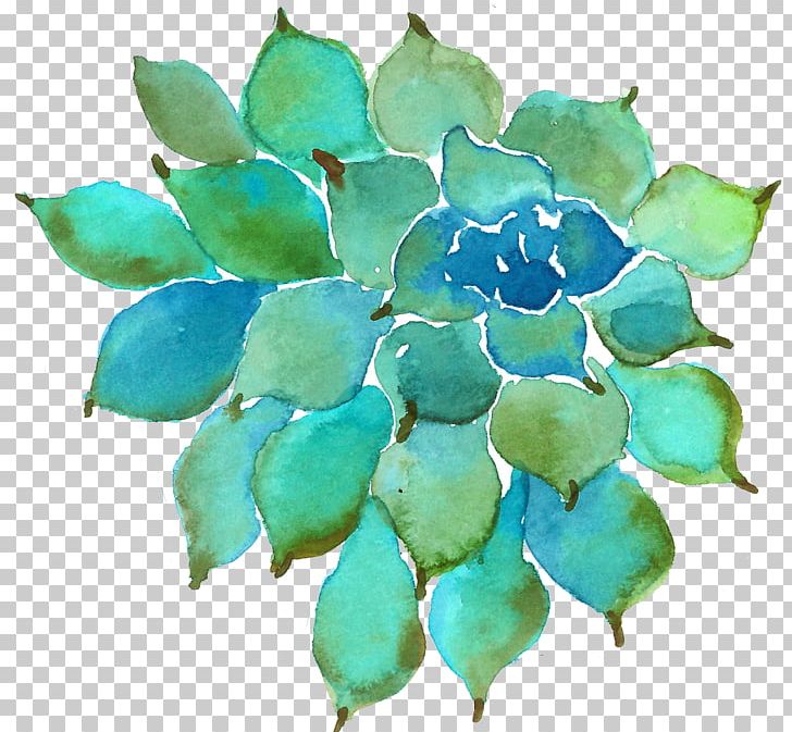 Succulent Plant Watercolor Painting Petal PNG, Clipart, Aqua, Color, Download, Flower, Food Drinks Free PNG Download