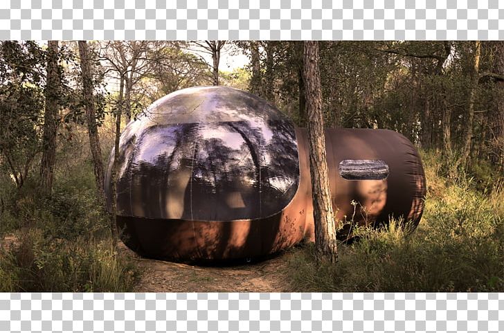 Tent Camping Backyard Inflatable Polyvinyl Chloride PNG, Clipart, Accommodation, Advertising, Backyard, Camping, Canvas Free PNG Download