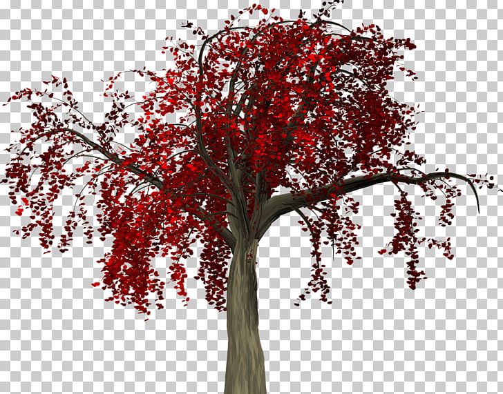 Twig Tree PNG, Clipart, Autumn, Branch, Desktop Wallpaper, Download, Fall Free PNG Download