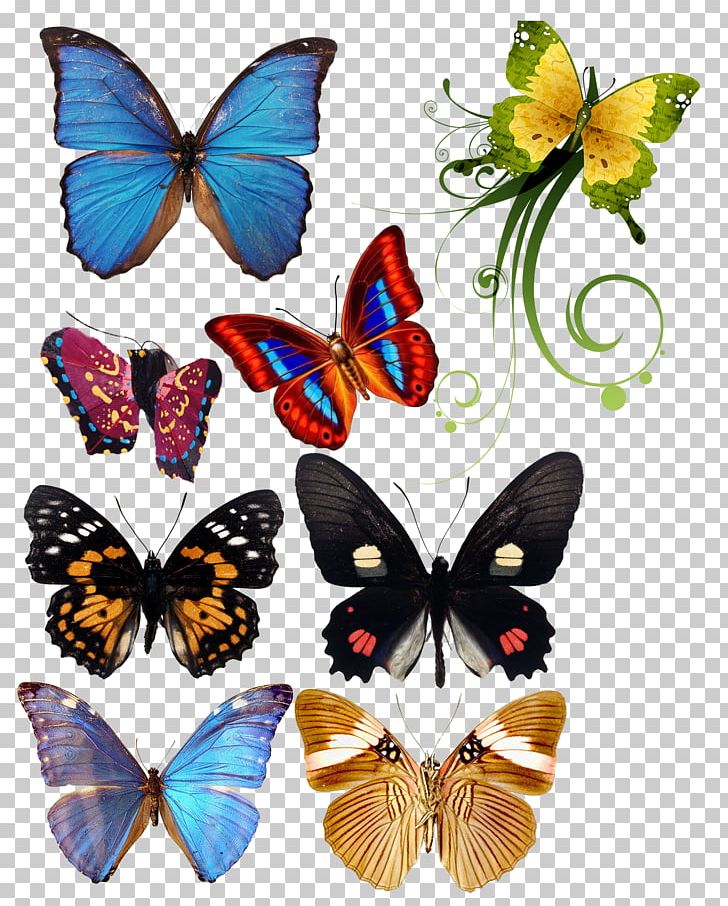 Monarch Butterfly Computer File PNG, Clipart, Adobe Illustrator, Brush Footed Butterfly, Butterflies, Butterfly Group, Clips Free PNG Download