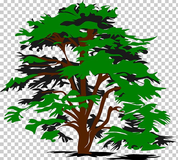 Tree Black And White PNG, Clipart, Black, Black And White, Branch, Drawing, Flowering Plant Free PNG Download