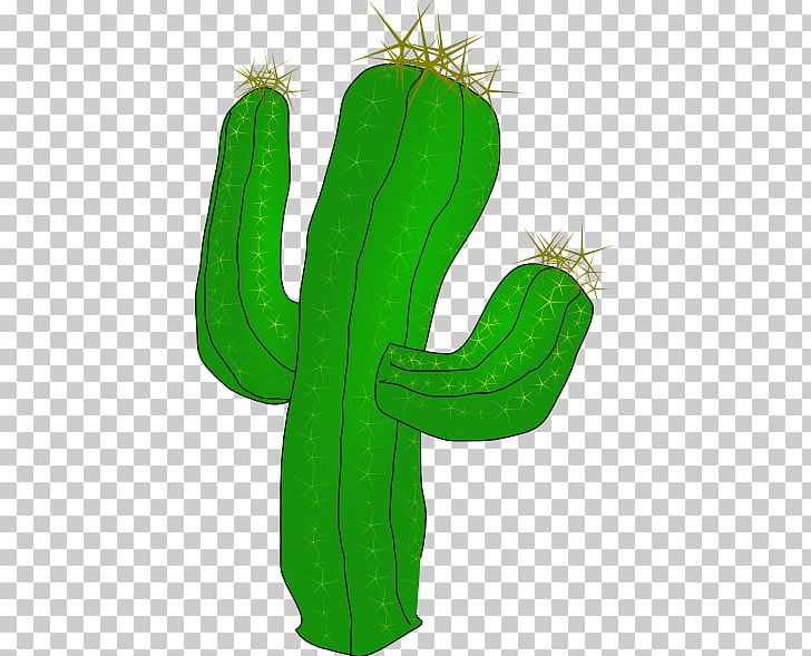 Cactaceae Saguaro RTM RANCH PNG, Clipart, Background Green, Cactaceae, Cactus, Cartoon, Caryophyllales Free PNG Download