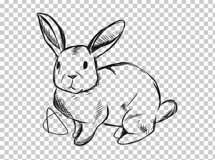 Domestic Rabbit Hare Line Art Whiskers Drawing PNG, Clipart, Animal, Animal Figure, Animals, Artwork, Black And White Free PNG Download