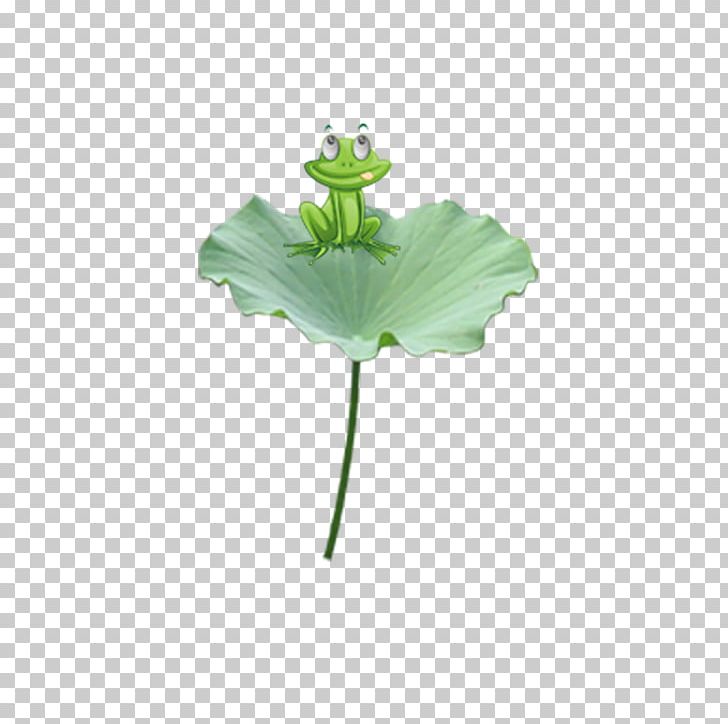 Edible Frog Leaf Nelumbo Nucifera PNG, Clipart, Animals, Autumn Leaf, Decoration, Designer, Download Free PNG Download