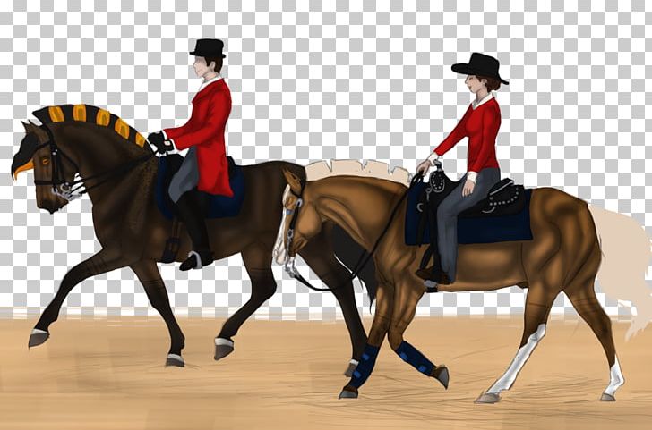 Horse Equestrian Western Riding English Riding Saddle PNG, Clipart, Animals, Animal Sports, Animal Training, Bridle, Dressage Free PNG Download