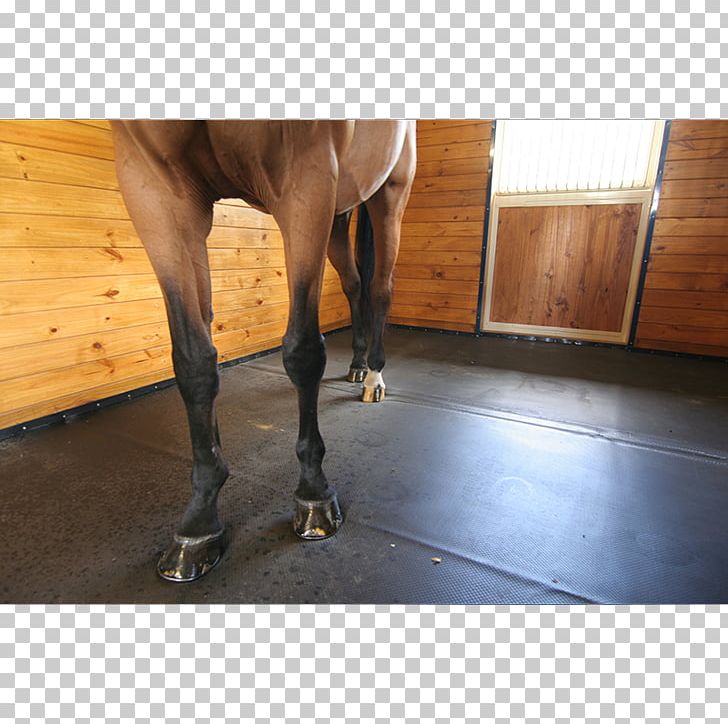 Horse Mat Stable Flooring Paddock PNG, Clipart, Animals, Building, Calf, Floor, Flooring Free PNG Download