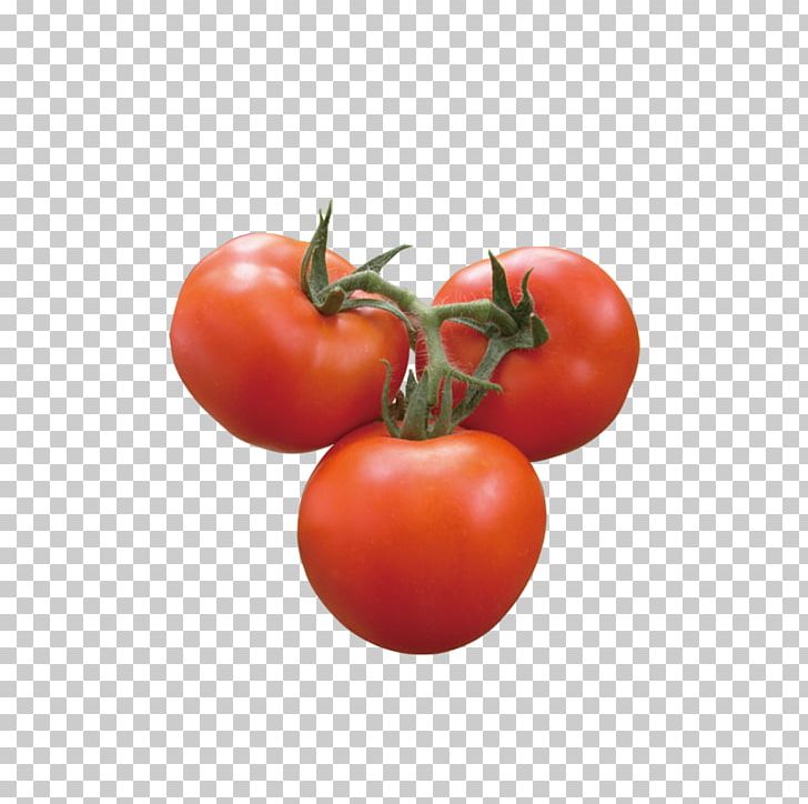 Plum Tomato Vegetable PNG, Clipart, Auglis, Blog, Bush Tomato, Cherry Tomato, Creative Free PNG Download