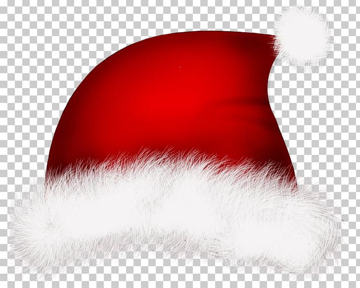 Santa Claus Christmas PNG, Clipart, Cartoon, Decorative, Fictional Character, Floral, Flower Free PNG Download