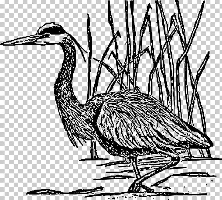 Crane Great Blue Heron Bird PNG, Clipart, Animal, Beak, Bird, Black And White, Blue Free PNG Download