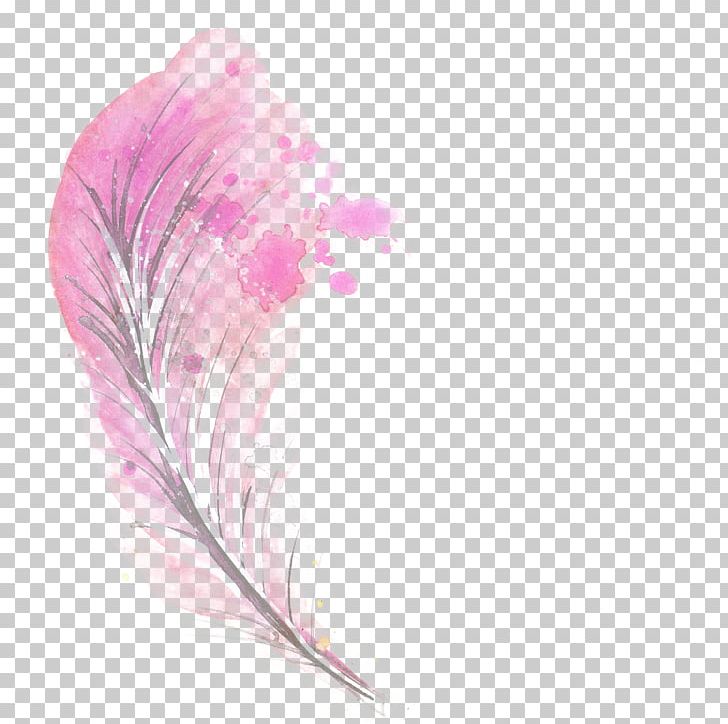 Feather Pink Illustration PNG, Clipart, Animals, Beautiful, Bird, Blue, Color Free PNG Download