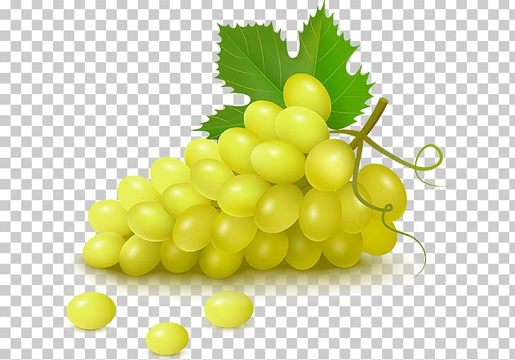 Grape Fruit PNG, Clipart, Berry, Drawing, Food, Fruit, Fruit Nut Free PNG Download