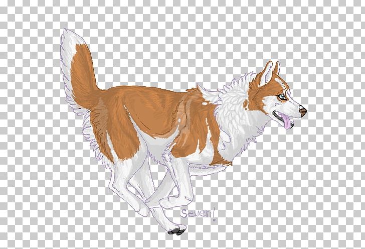 Dog Breed Red Fox Dhole Fur PNG, Clipart, Breed, Carnivoran, Dhole, Dog, Dog Breed Free PNG Download