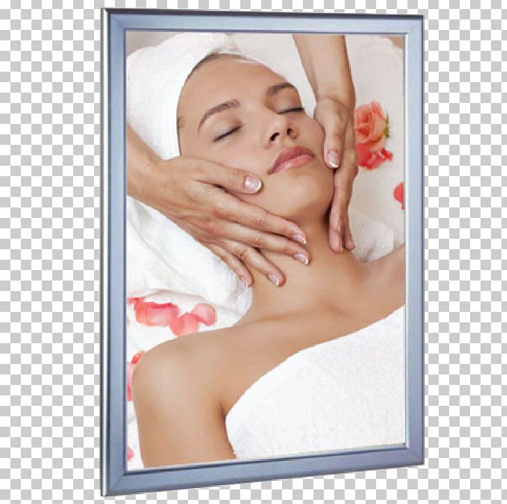 Beauty Parlour Facial Waxing Cosmetics Face PNG, Clipart, Beauty, Beauty Parlour, Cheek, Chin, Cosmetics Free PNG Download