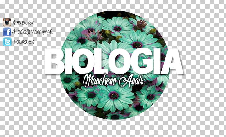 Biology Abiogenesis Theory Of Relativity Science PNG, Clipart, Abiogenesis, Biology, Brand, Dna, Education Science Free PNG Download