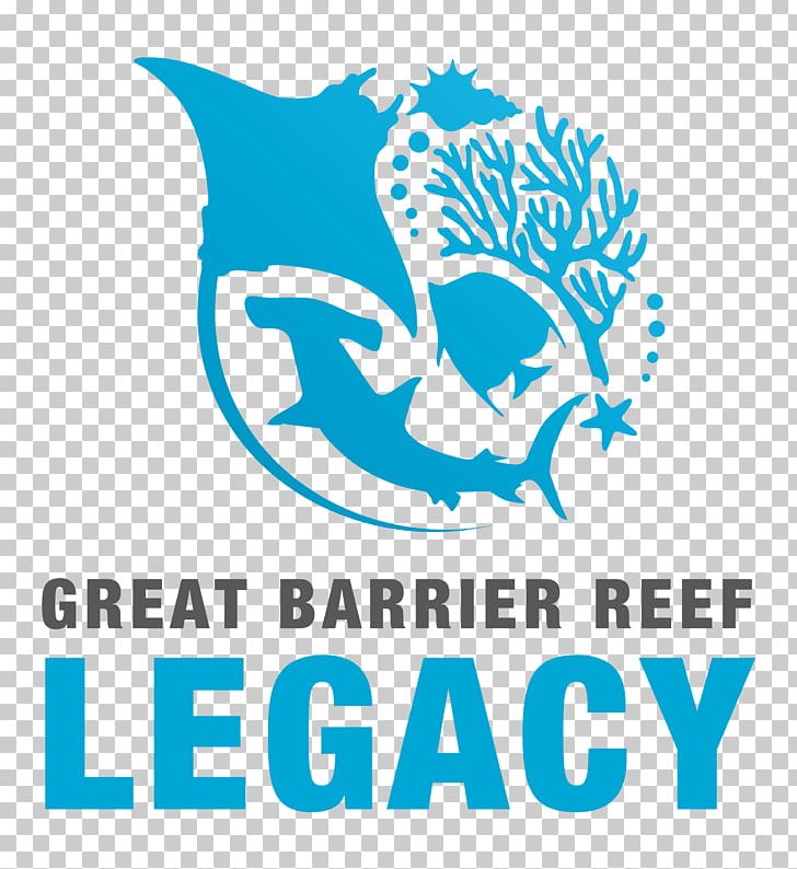 Cairns Coral Sea Coral Reef Daintree PNG, Clipart, Area, Artwork, Blue, Brand, Cairns Free PNG Download