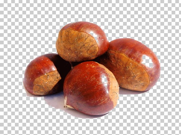 Chinese Chestnut Dried Fruit Food American Chestnut Boletus PNG, Clipart, American Chestnut, Apple, Boletus, Chestnut, Chinese Chestnut Free PNG Download