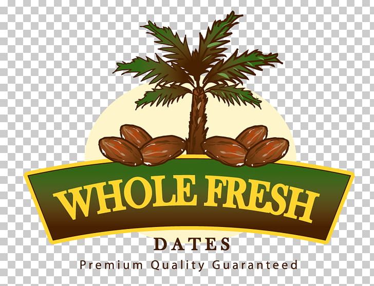 Date Palm Deglet Nour Medjool Logo Arecaceae PNG, Clipart,  Free PNG Download