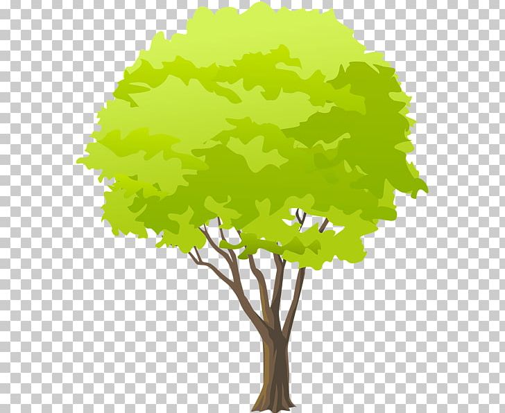 Tree PNG, Clipart, Art, Branch, Cartoon, Grass, Green Free PNG Download
