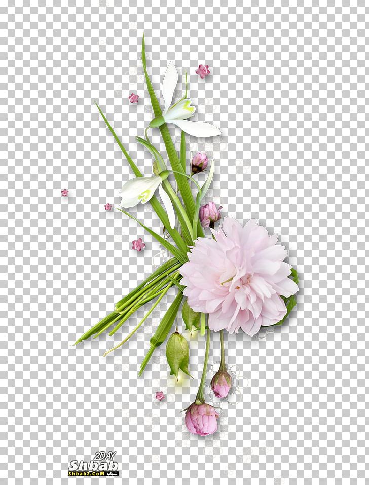 Flower Photography PNG, Clipart, Blume, Clip Art, Cut Flowers, Digital Image, Flora Free PNG Download
