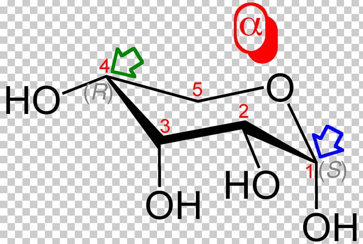 Glycosidic Bond 糖 Alpha-synuclein Carbohydrate Amino Acid PNG, Clipart, Acetal, Alphasynuclein, Alpha Synuclein, Angle, Area Free PNG Download
