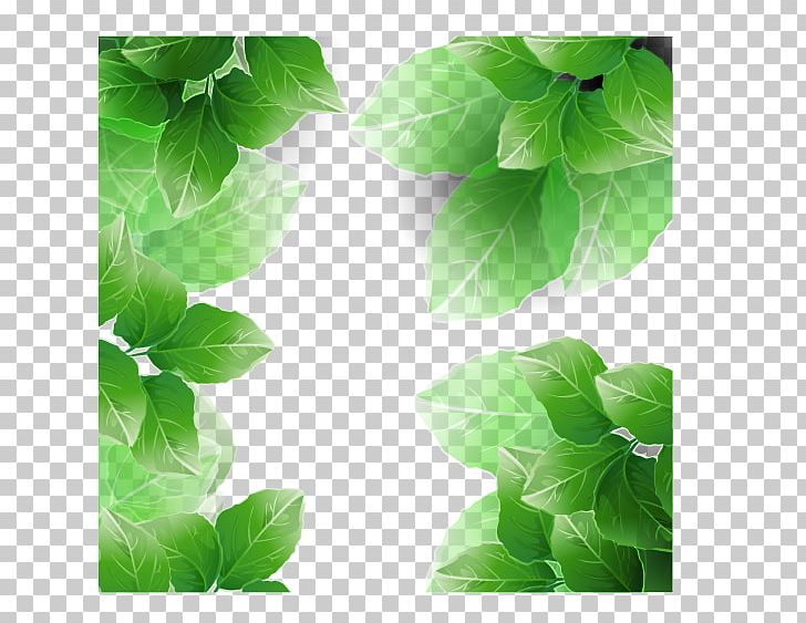 Leaf PNG, Clipart, Adobe Illustrator, Background Green, Cartoon, Digital Image, Drawing Free PNG Download