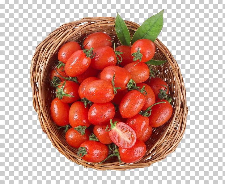 Plum Tomato Cherry Tomato Bush Tomato Auglis Vegetable PNG, Clipart, Auglis, Catty, Cherry, Cherry Blossom, Cherry Blossoms Free PNG Download
