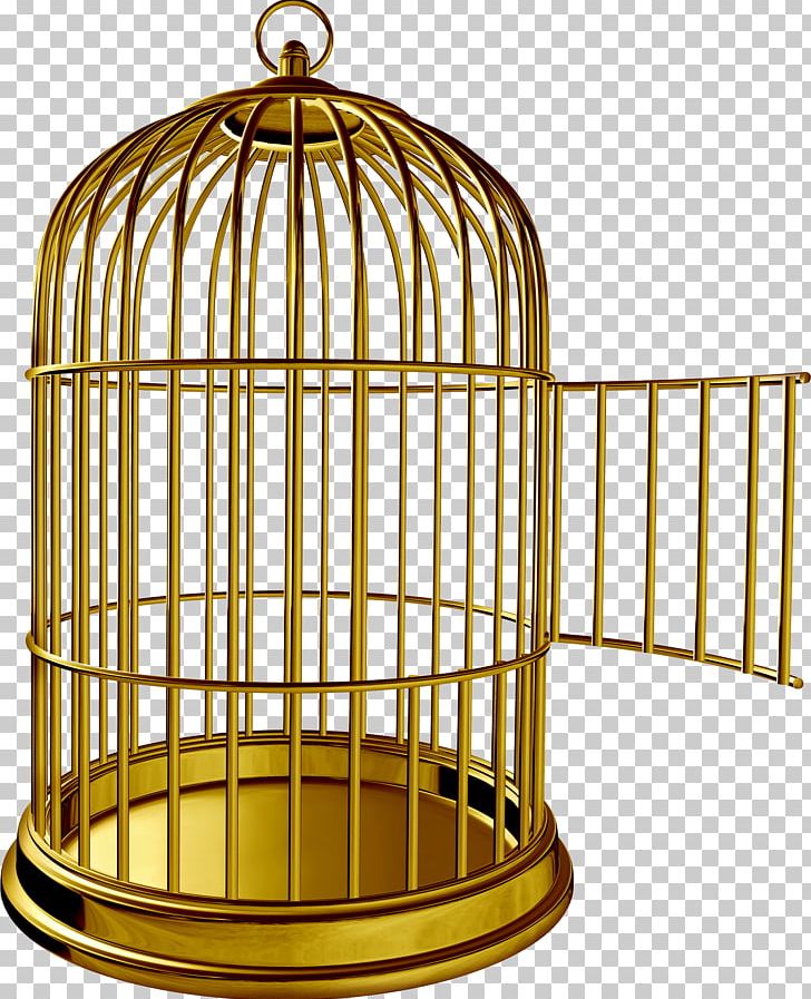 Birdcage Parrot PNG, Clipart, Animals, Bird, Bird Cage, Birdcage, Cage Free PNG Download