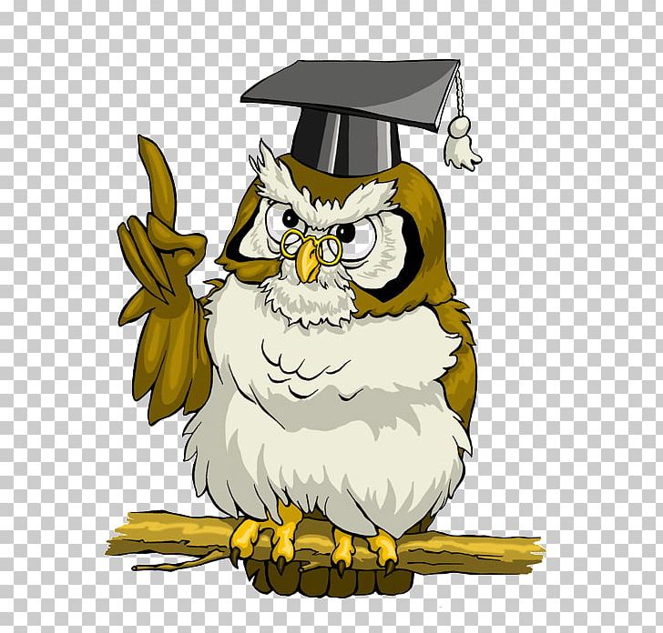 La Verne San Dimas Owl I Love Teriyaki Information PNG, Clipart, Animals, Art, Beak, Bird, Bird Of Prey Free PNG Download