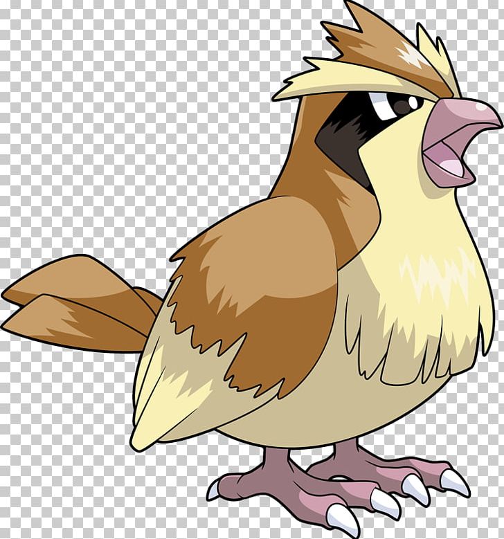 Pokémon X And Y Pikachu Pidgeotto Pokémon GO PNG, Clipart, Artwork, Ash Ketchum, Beak, Bird, Bird Of Prey Free PNG Download