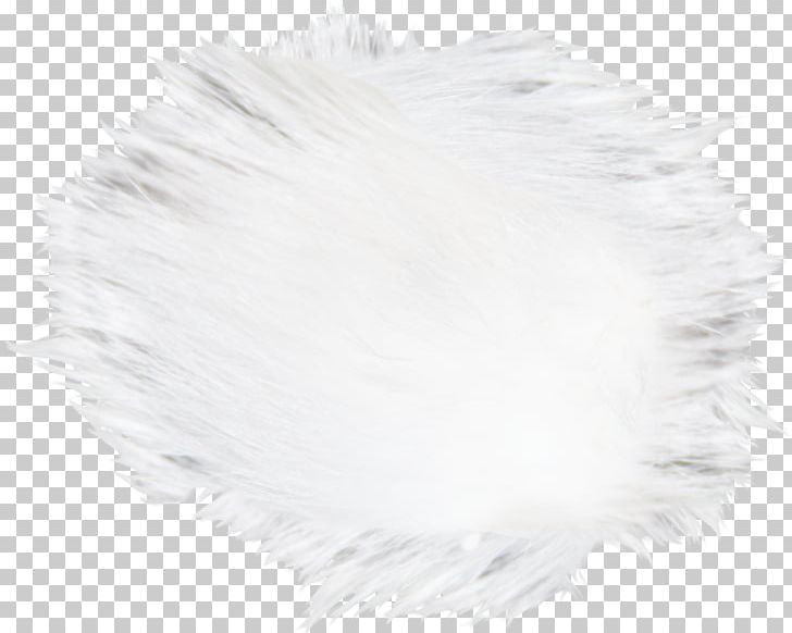 White Hair Canities Fur PNG, Clipart, Beautiful, Beautiful Hair, Black And White, Black Hair, Black White Free PNG Download