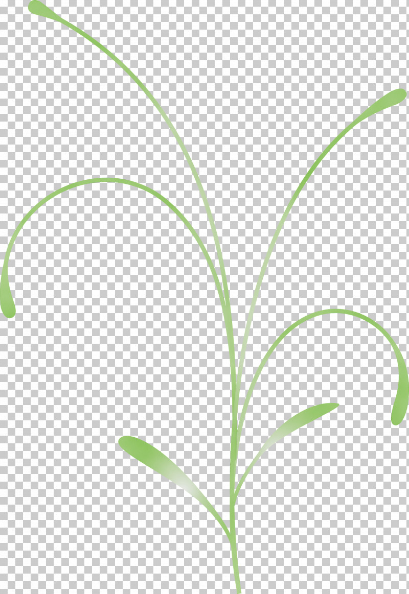 Leaf Grass Plant Flower Grass Family PNG, Clipart, Easter Flower, Flower, Grass, Grass Family, Leaf Free PNG Download