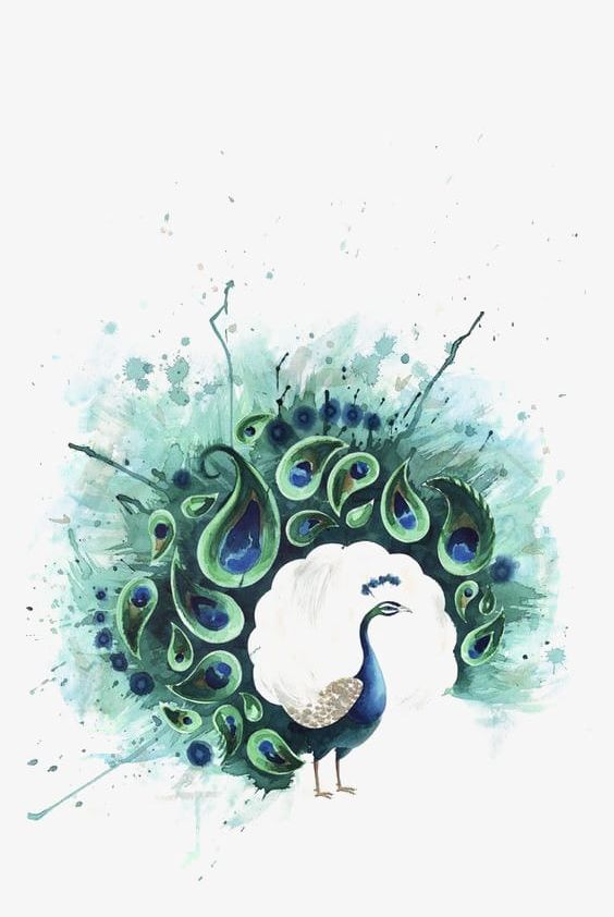 Peacock PNG, Clipart, Abstract, Animal, Art, Backgrounds, Bird Free PNG Download