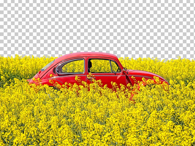 Rapeseed Oil Car Yellow Landscape Flower PNG, Clipart, Car, Flower, Landscape, Paint, Rapeseed Free PNG Download