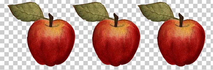 Accessory Fruit Apple PNG, Clipart, Accessory Fruit, Apple, Food, Fruit, Fruit Nut Free PNG Download