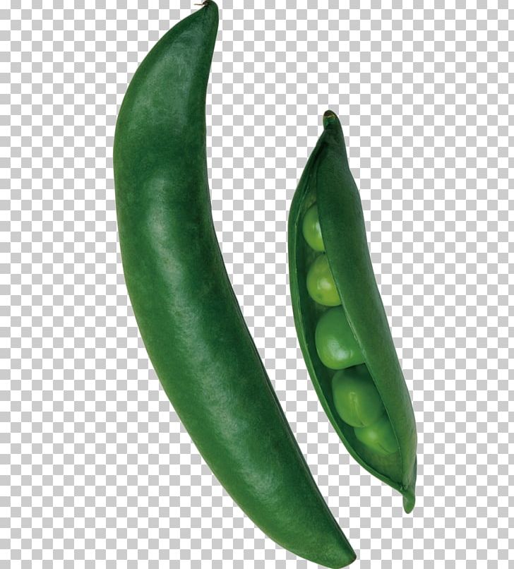 Pea Euclidean Bean PNG, Clipart, Bell Peppers And Chili Peppers, Butterfly Pea, Cayenne Pepper, Chili Pepper, Download Free PNG Download