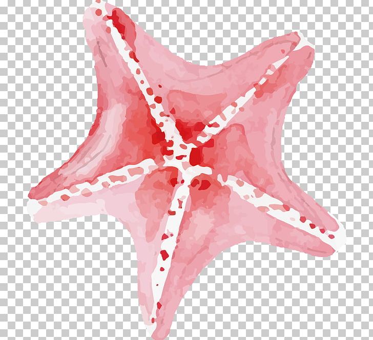 Starfish Pisaster Brevispinus PNG, Clipart, Animals, Aquatic, Aquatic Creatures, Happy Birthday Vector Images, Marine Biology Free PNG Download