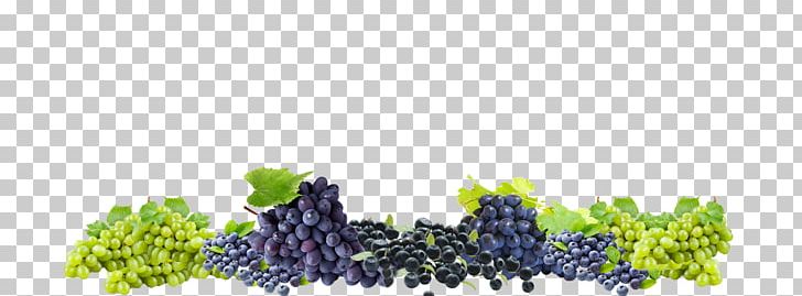 Grape Winery Colle Del Bricco Wine Cellar PNG, Clipart, Company, Food, Fruit, Fruit Nut, Generation Free PNG Download