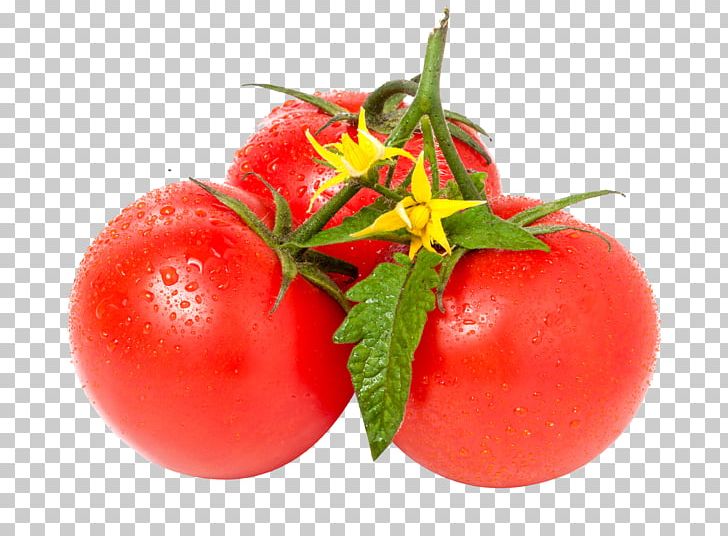 Tomato Leaf Stock Photography Vegetable White PNG, Clipart, Bush Tomato, Diet Food, Euclidean Vector, Food, Fruit Free PNG Download