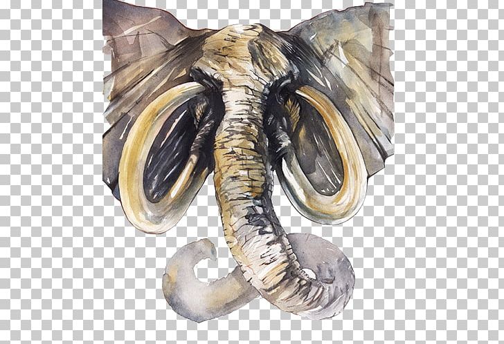 Watercolor 1 PNG, Clipart, Abstract Lines, Adobe Illustrator, African, African Animals, Animals Free PNG Download